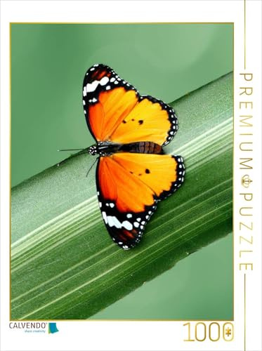 CALVENDO Puzzle Schöner exotisch leuchtender Schmetterling | 1000 Teile Lege-Größe 48 x 64 cm Foto-Puzzle für glückliche Stunden