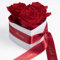 ROSEMARIE SCHULZ Heidelberg Rosenbox Herzform Mutter Geschenk Blumen 3 Infinity Rosen Satinband Goldschrift (Rot, 3 Rosen Mama, ich hab Dich lieb)