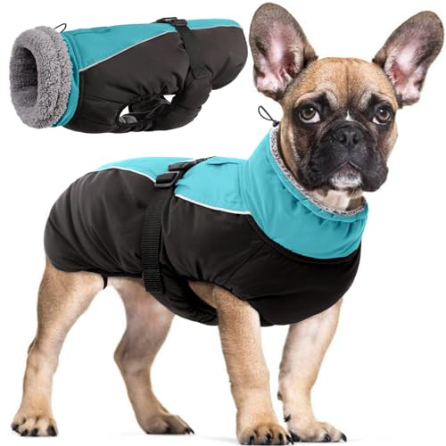 Wasserdichter Hundemantel Winter Warme Hundejacke, Hundebekleidung Outfit für kleine mittel große Hunde, Hundepullover mit Sicheren Reflexstreifen für Labrador Chihuahua Französische Bulldogge