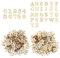Yuanchu 204Stück Kleine Holzbuchstaben und Holzzahlen,15MM Buchstaben aus Holz zum Basteln und Bemalen Kleinbuchstaben (A-Z) Zahlen Holz (0-9) Holz Buchstaben Deko für DIY Frühes Lernen Hochzeit Party