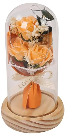 Diese Rose in Einer Kuppel unter dem drückt Ihre Liebe aus und fließt