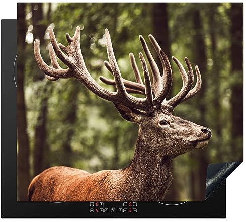 MuchoWow Herdabdeckplatte Ceranfeld Spritzschutz Küche Hirsch - Natur - Geweih - Wald - Tiere 58.3x51.3 cm Induktionsherd Abdeckung Induktionskochfeld Ceranfeldabdeckung