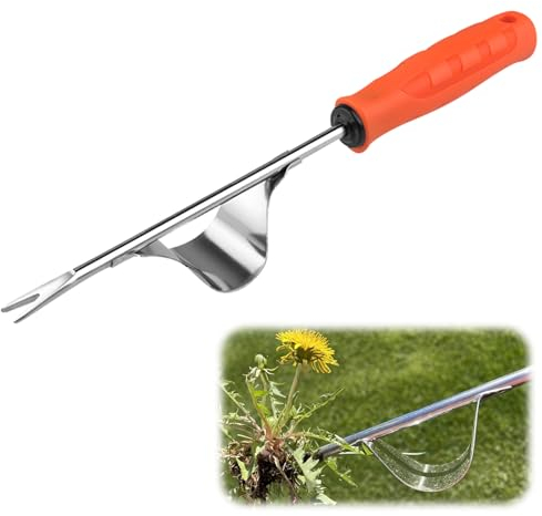 Kunoli Désherbeur en Acier Inoxydable, arrache-Pissenlit avec Manche, désherbeur avec poignée en Bois, râteau à Gazon, Outil d'élimination des Mauvaises Herbes pour Le Jardin, désherbage, détachage