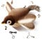 Wuiil Katzenspielzeug Vogel Elektrisch,Vogelspielzeug Für Katzen,Flying Bird Cat Toy,Fliegender Vogel Spielzeug Für Katzen,Aufladbar Interaktives Katzenspielzeug,Flapping Bird Cat Toy,Mit Katzenminze