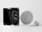 Eau Zone Fotokunst Tasse Geschenk Tierfotografie – Schwarzer Cane Corso