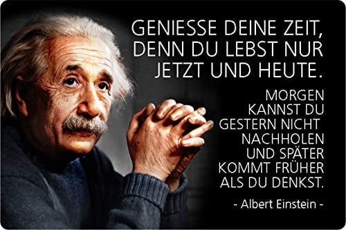 Schatzmix Blechschild Spruch Albert Einstein Geniess Die Zeit Metallschild Wanddeko 20x30 tin Sign