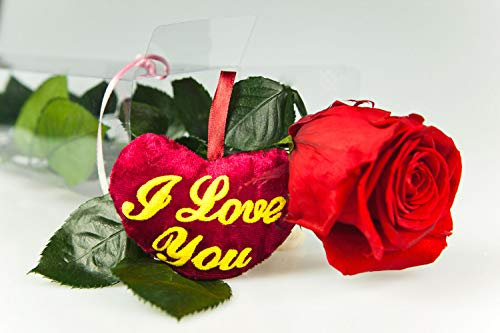 Rosen-Te-Amo | Infinity Rose Rot am Stiel - 40cm - Rosenduft |Echte Rosen Geburtstagsgeschenk für Frauen, Ewige Rose in Geschenkbox| Konservierte Blume zum Weihnachten, Valentinstag, Mama, Geschenk
