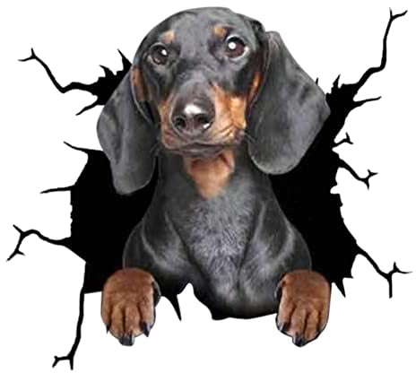 4er Set 3D Hund Aufkleber Autoaufkleber, Lustiger Hund im Riss Vinyl Auto Dekoration, Wandaufkleber Für Autofenster Stoßfänger Lustige Deko Styling Süß Decal Heckscheibendekor