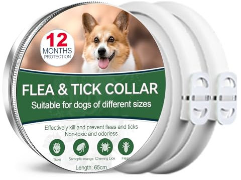 Collier Anti-puces pour Chiens, Collier Anti-puces sûr et Efficace pour Chiens composé d'huiles essentielles Naturelles, efficacité 12 Mois Collier Anti-tiques pour Chiens (65cm-2pack)