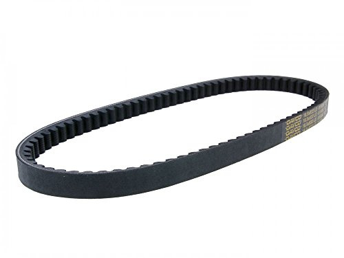 Dayco 8150K Power Plus Keilriemen Kevlar Verstärkt, L832 X B18.5