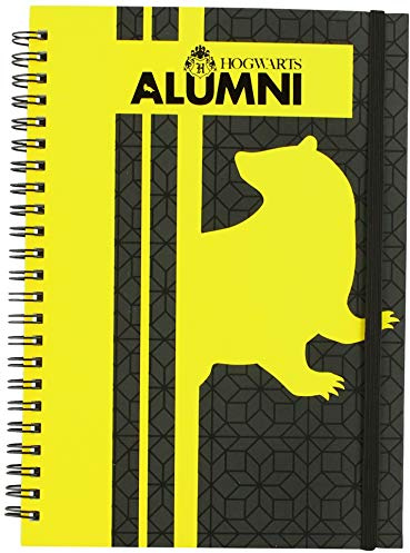 Cerdá Unisex-Kinder Display Libretas Harry Potter-Notizbücher anzeigen, Gelb