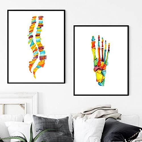 marca generica Aquarell Knochen des Fußes Poster Menschliche Anatomie Wirbelsäule Poster und Druck Leinwand Malerei HD Wandkunst für Zimmer Wohnkultur Ungerahmt-40X60cmx2