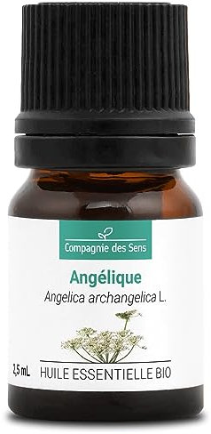 ANGÉLIQUE (Angelica archangelica) BIO - 2.5mL - Huile Essentielle de Qualité Premium - 100% Pure, Naturelle, garantie ChromaCert® - Chémotypée & Intégrale