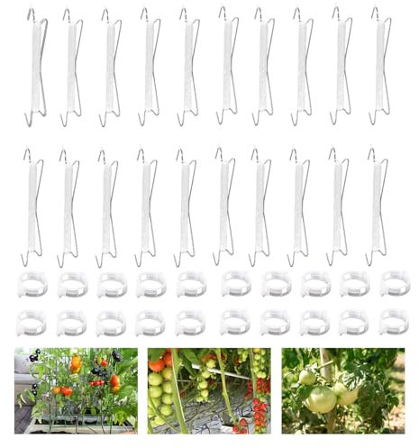 20 Stück Tomatenhaken Metall, Tomatenhaken mit 20 Pflanzenschnalle 3m Seil, Robuster Tomaten Haken, Tomatenstützhaken Pflanzen, für Hängende Tomaten und Gurken