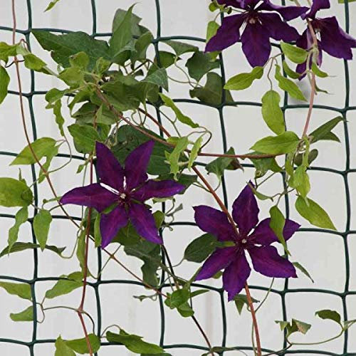 Garden Mile Climbing Plant & Fencing Garden Mesh Outdoor Indoor Fencing Plant Support Plastic Mesh Netting for Flowers Plants Protection Allotment Cover Pest Deterrent Heavy Duty Brown – 50mm, 1m x 5m