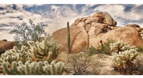 MIRRORANG 120x46cm Durevole Vinile Terrario Sfondo Blu Cielo Roccioso Enorme Cactus Gobi Sole e Deserto Rettile Habitat Sfondo