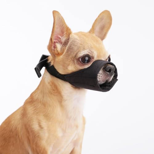 HYHIOTS Maulkorb Hunde für Kleine Mittlere Hunde, Giftköderschutz Verhindert Fressen Bellen für Chihuahua, Shih Tzu Bulldogge, Pitbull (Schwarz, XXS)