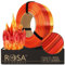 ROSA 3D PLA Multicolour Silk Filament 1.75 mm für 3D Drucker | Druckmaterialien Leicht Glänzend PLA Rainbow 3D Drucker Filament | 3D Printing Materials | Feuer Refill 1 kg
