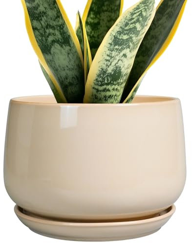 G EPGardening Keramiktöpfe für Pflanzen, 17,8 cm, große Keramik-Pflanzgefäße für Zimmerpflanzen, Outdoor, moderner Blumentopf mit Drainagelöchern und Untersetzer, für Büro, Garten, Terrasse, Beige