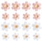 ElevateTech 16 Pcs Cute Flower Fridge Magnets Mini Colorful Decorative Magnets Photo Wall Fixing Suitable for School Office Locker Kitchen Cabinet Whiteboard (Pink White)