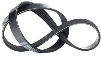 DAYCO 5PK775 Gürtel Zubehör, Schwarz | Kompatibel mit: CITROËN AX, SAXO, SAXO Hatchback van, NISSAN MICRA II, PEUGEOT 106 I, 106 II, RENAULT LAGUNA I