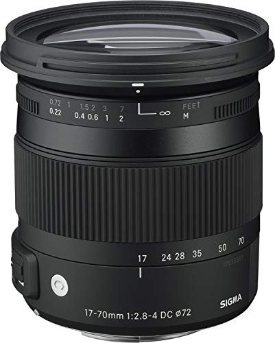Sigma 17-70mm f/2.8-4 DC HSM for Sony
