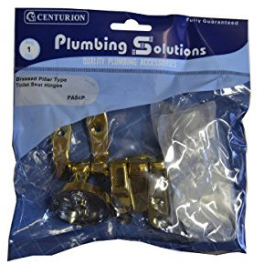 Centurian Polished Brass Pillar Type Toilet Seat Hinges