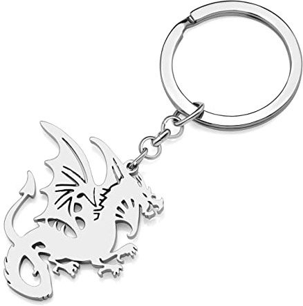 RAIDIN Edelstahl Gold Plattiert Schlüsselanhänger Dinosaurier Drache Schlüsselring für Damen Mädchen Geschenke Auto Geldbeutel Schlüssel Zubehör (Silber-021 Drache)