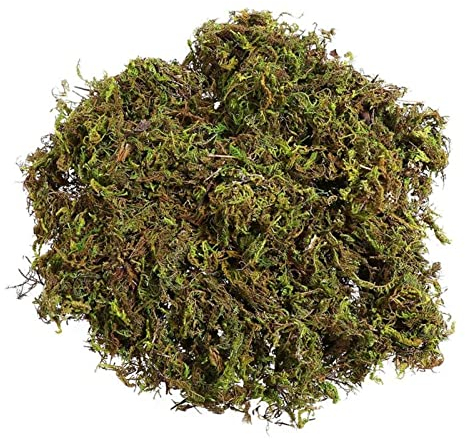AMair Weihnachtsdekoration 3 Packungen Natürliche Moss Flechten grüne Pflanzen for Hausgarten Terrasse Dekoration Pflanze Turf Blume Anordnung dekoratives Moos Weihnachtsdekoration amerikanisch