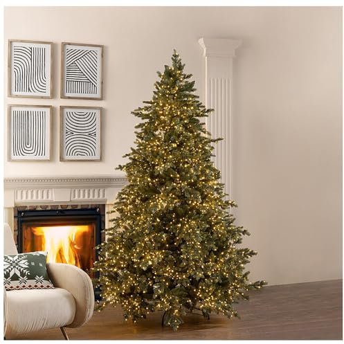 EDG - Enzo De Gasperi Albero di Natale Pino Argentato 5000 Mini LED in PE Verde D166xH240 cm