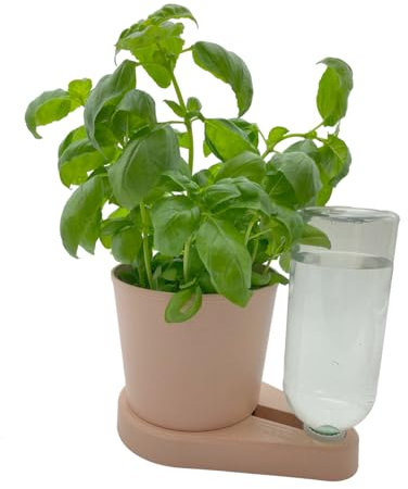 greevi kräuterheld | Selbstbewässernder Pflanztopf für Küchenkräuter | Made in Germany | Kunststoff (Bio-Kunststoff, rosa)