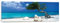 REINDERS Wandbild, Divi Divi Baum, Schlafzimmer, Bilder, Wanddeko, Room Decor, MDF, Blau, 30x90cm