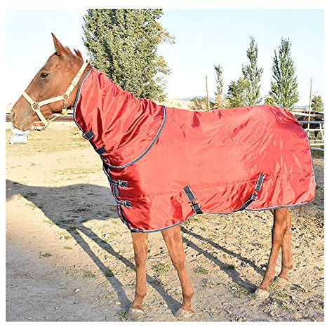 MaJu Abschwitzdecke Mit Halsteil Stalldecke 300g Füllung,Rot(Size:115cm)