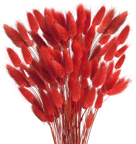 HUAESIN 120 Piezas de Flores secas Hierba Decorativas de otoño Flores Decorativas Hierba roja pequeñas Flores secas cañas Naturales para el hogar Halloween Boda jarrón Acción de Gracias