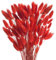HUAESIN 120pcs Getrocknet Blumen Schlifgras Trockenblumen Deko Herbst Dekoblumen Rot Gras Klein Trockenblumen Natürliche Schilfgras für Zuhause Halloween Hochzeit Vase Thanksgiving