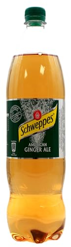 Schweppes American Ginger Ale, 12er Pack (12 x 1,25 l) EINWEG