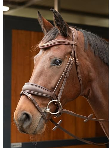 Harry's Horse Trense Soft Bombastic Cob Braun