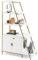 COSTWAY Cat Litter Box Enclosure, Hidden Cats Washroom Climbing Frame with Ladder Shelf, Removable Plush Cushions, Side Entrance, Indoor Wooden Cat Activity Furniture (White + Gold)