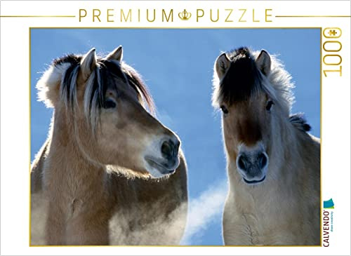 CALVENDO Puzzle EIN Motiv aus dem Kalender Fjordpferde - Norweger | 1000 Teile Lege-Größe 64 x 48 cm Foto-Puzzle für glückliche Stunden
