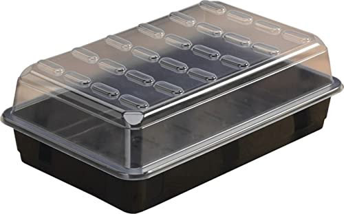 Garland G135 Anzuchtpflanze