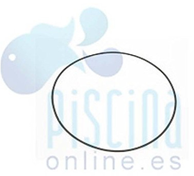 Astralpool JOINT BRIDE MOTEUR marque