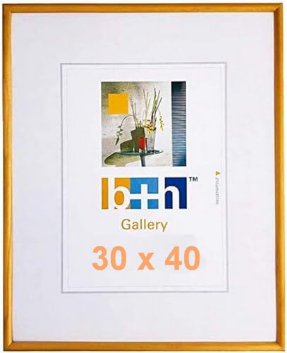 Bilderrahmen 30x40 Holz terracotta (hell orange) Portrait-rahmen Echt-Glas Fotorahmen