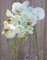 artplants.de Ramo Artificiale di Orchidea phalaenopsis Ophelia, Verde-Fucsia, 80cm - Orchidea Finta - Ramo Decorativo