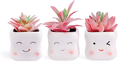 Tiita Niedliche künstliche Sukkulenten in Töpfen, rosa künstliche Pflanzen, Keramik-Arrangement, Pflanzgefäß, kleine Mini-Dekoration für Zuhause, Büro, Zubehör, Frauen, Schreibtisch, Fensterbank,