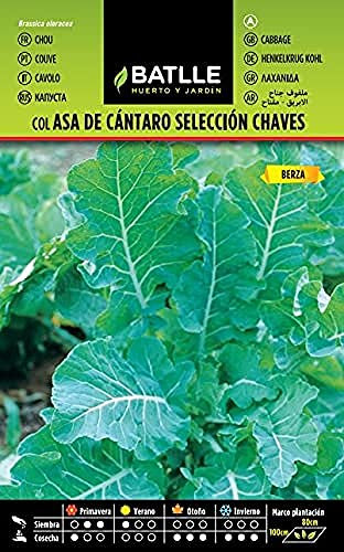 Semillas Batlle – Col Chou portuguais, Chaves