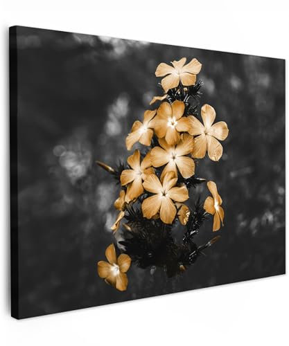 MuchoWow© Quadro su Tela 40x30 cm Stampe da Parete Quadri Cucina Camera da Letto Dipinto Arredamento Casa con Fiori - Marrone - Nero - Bianco
