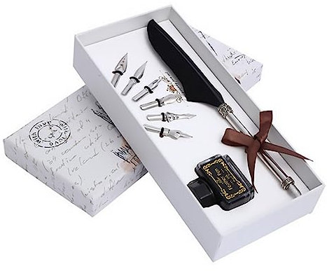 Lurrose Retro Federkiel Satz 1 Satz Schwarz mit 6 Ersatzfedern