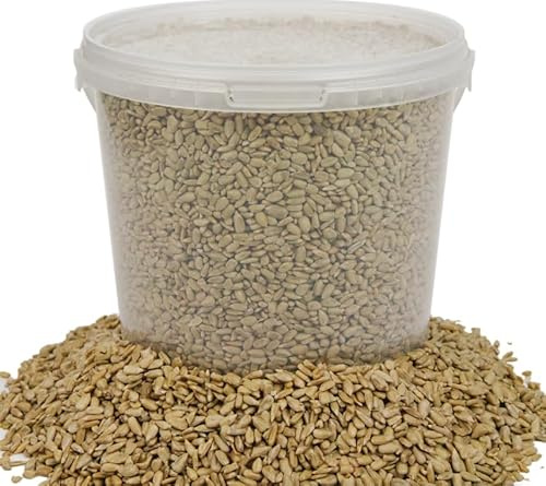 BusyBeaks Sunflower Hearts Wild Bird Food | Finest Bakery-Grade Garden Seed Mix | Husk Free and Dehulled No Mess Seeds | Nutritious Natural and Healthy Feed Mixture | Balanced Vitamin Recipe (1L Tub)