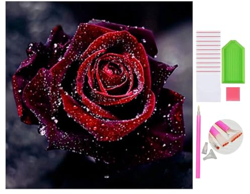 DOUKOYEE Diamond Painting Kits Rose Schmetterling Blumen Adult Kinder Diamant Bilder Malerei Set DIY Mosaikherstellung, Home Wanddekoration Wohnzimmer Schlafzimmer Wand Eingang Dekoration (A)