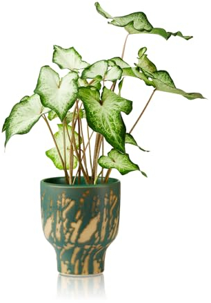 KHG Übertopf Grün Gold Marmor-Optik, Blumentopf Art Deco modern artistisch, Größe M - Höhe 19 cm, Durchmesser 12 cm, wasserfest, Eignung innen, aus Steingut Keramik, Ethno Boho Stil